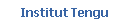 Institut Tengu