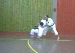 3e kumite kata