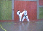 8e kumite kata